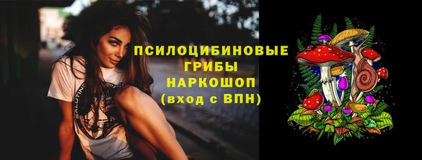 шишки Зеленокумск