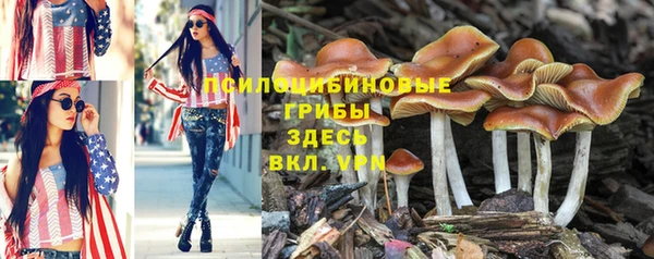 шишки Зеленокумск