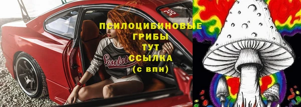 шишки Зеленокумск