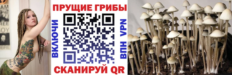 цены наркотик Обь Псилоцибиновые грибы мухоморы